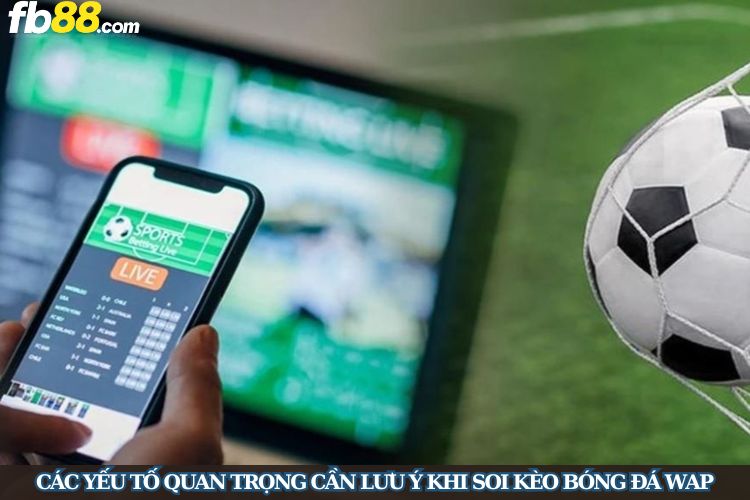 Các yếu tố quan trọng cần lưu ý khi soi kèo bóng đá wap