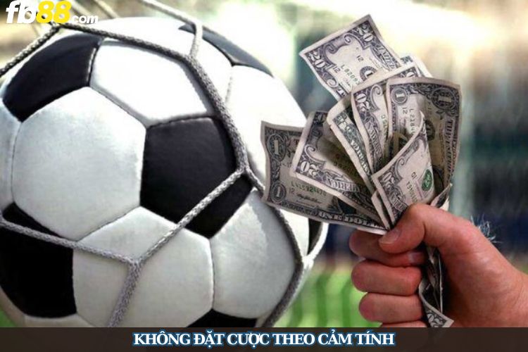 Không đặt cược theo cảm tính